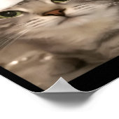 Poster Rizz la saison drôles de pyjamas de Noël chat mème (Coin)
