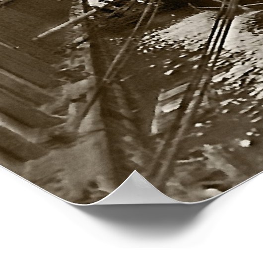 Poster RMS Carpathia à New York (Coin)