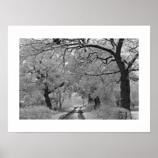 Poster Road en hiver : Cheshire, Angleterre (Devant)