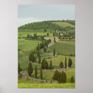 Poster Road from Pienza to Montepulciano,
