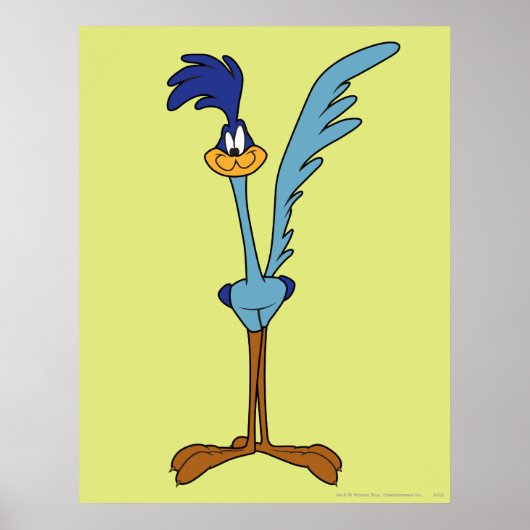 Poster ROAD RUNNER™ en couleur (Devant)