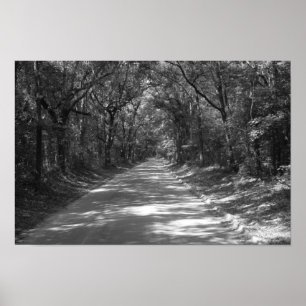 Poster Road to No Where