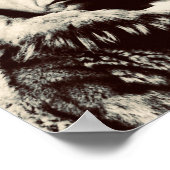 Poster Roald Amundsen (Coin)