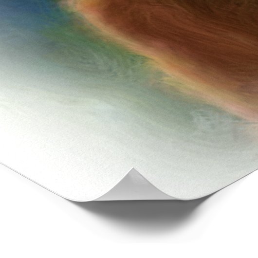 POSTER ROARING GRIZZLY BEAR (Coin)