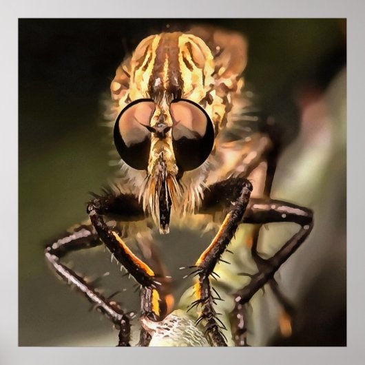 Poster Robber Fly Profile Asildae Artistic Close Up (Devant)
