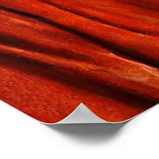 Poster Robe blanche et rouge de Jésus (Coin)