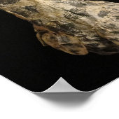 Poster Robe Filtre Café - Robe De Robe (Coin)