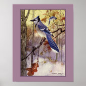 Poster Robert Bruce Horsfall Blue Jay Faux Matte (Devant)