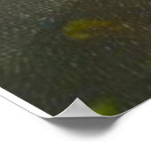 Poster Robert Burns (Coin)