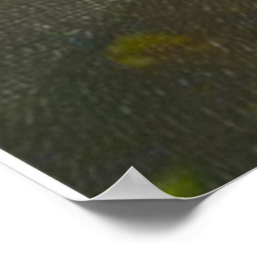 Poster Robert Burns (Coin)