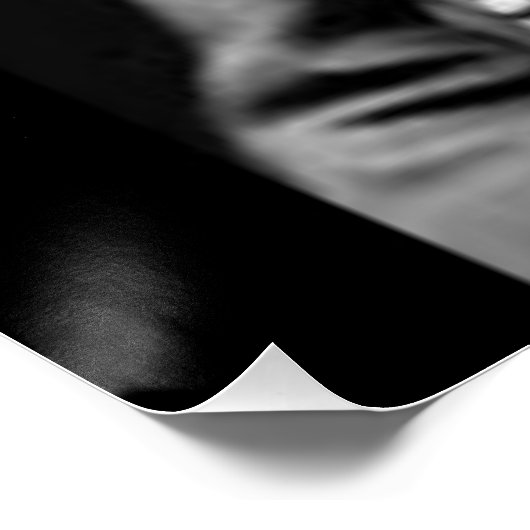 POSTER ROBERT E. LEE (Coin)