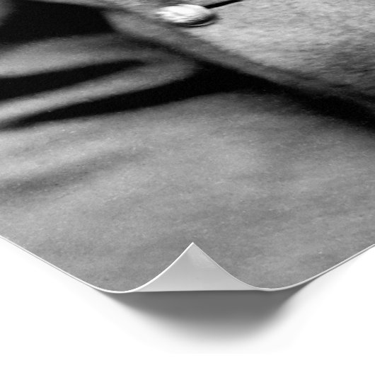 Poster Robert E. Lee (Coin)