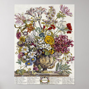 Poster Robert Furber - octobre - douze mois