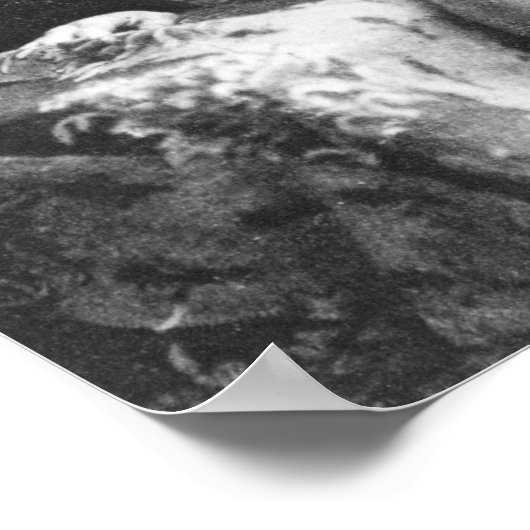 Poster Robert Louis Stevenson (Coin)