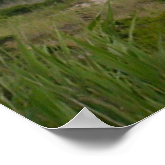 Poster ROBERT MOSES PARK NEW YORK PHARE Print (Coin)