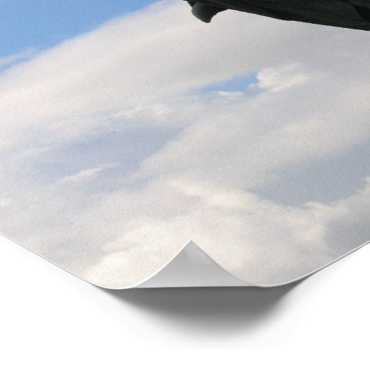 Poster Robert the Bruce (Coin)