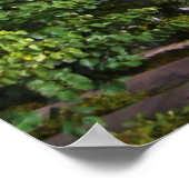 Poster Roberto Clemente Bridge - Pittsburgh, Pennsylvanie (Coin)