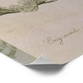 Poster Robes du soir pour illustration (Coin)