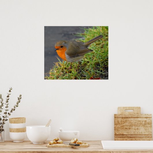 Poster Robin (Cuisine)