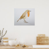 Poster Robin 2011 (Cuisine)