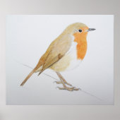 Poster Robin 2011 (Devant)