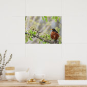 Poster Robin américain et fleurs printanières (Cuisine)