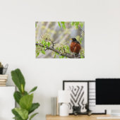 Poster Robin américain et fleurs printanières (Bureau à domicile)
