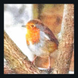 Poster Robin Artistique Redsein Perché<br><div class="desc">Robin Artistique Redmamie Perché entre les branches nues L'aquarelle est un tableau d'un ravissant robin avec sa poitrine rouge vif, il est familier tout au long de l'année et surtout à Noël! Un aménagement saisonnier avec un présage de printemps Les Robins ne sont pas mis en oeuvre par le contact...</div>