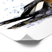 Poster Robin Baigning (Coin)