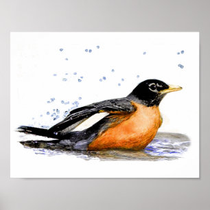 Poster Robin Baigning