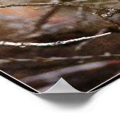 Poster Robin bébé (Coin)