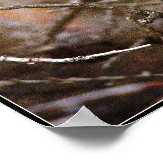 Poster Robin bébé (Coin)