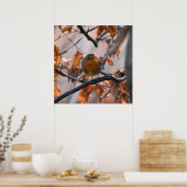 Poster Robin Dans Les Haies (Cuisine)