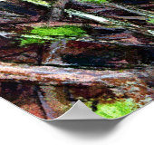 Poster Robin dans une haie (Coin)