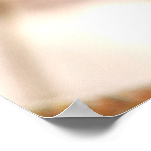 Poster Robin en hiver (Coin)