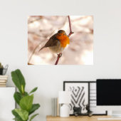 Poster Robin en hiver (Bureau à domicile)