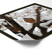 Poster Robin en noir (Coin)