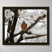 Poster Robin en noir (Devant)