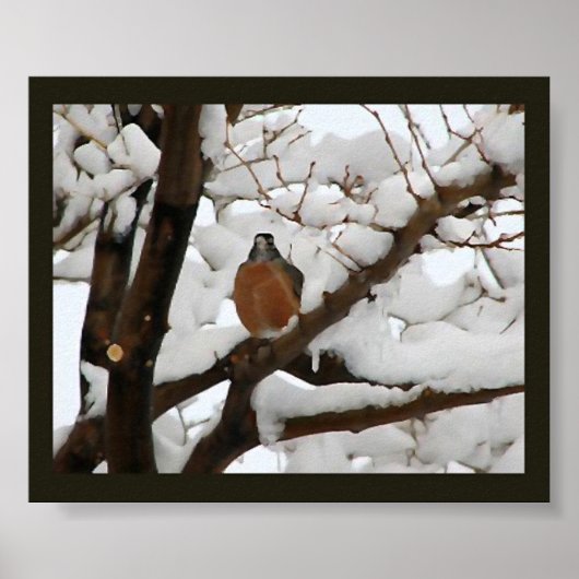 Poster Robin en noir (Devant)