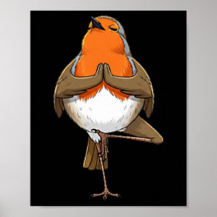Poster Robin fait une pose de yoga Méditation Drôle d'ois