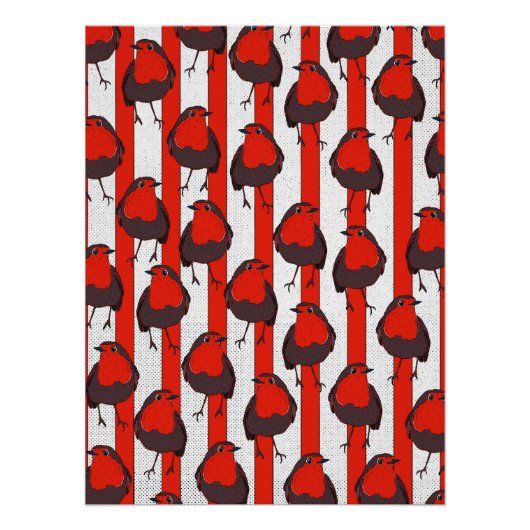 Poster Robin Motif (Devant)