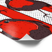 Poster Robin Motif (Coin)