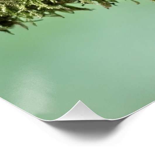 Poster Robin perché sur une branche d'arbre couverte de m (Coin)