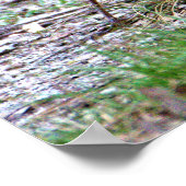 Poster Robin Photo (Coin)