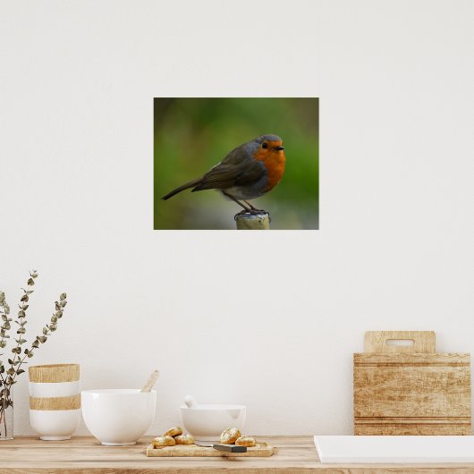 Poster Robin Posing (Cuisine)