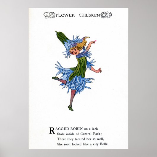 Poster Robin Ragged (Devant)