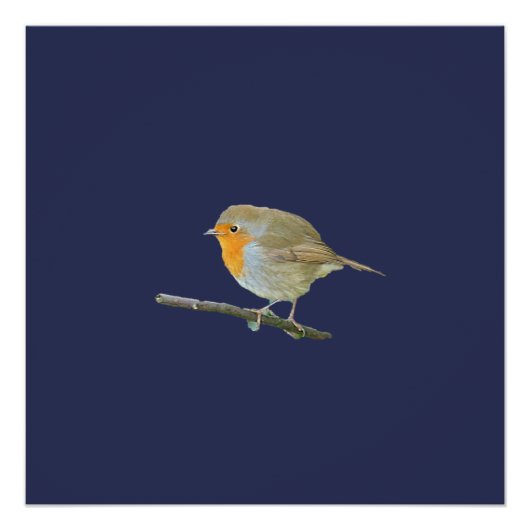 Poster Robin Redmamin (Devant)