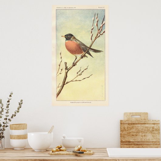 Poster Robin vintage (Cuisine)