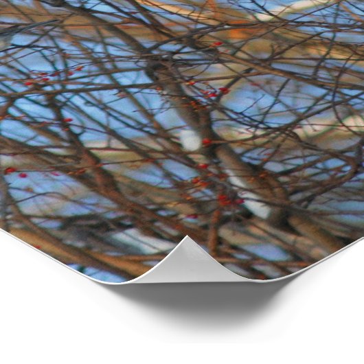 Poster Robins d'hiver Snowy Nest (Coin)