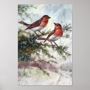 Poster Robins En Hiver